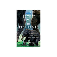 HarperCollins Publishers The Secret Lives of Elephants (häftad, eng)