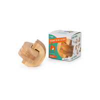 Recent Toys Brain Puzzle #03 Game