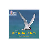 HarperCollins Publishers Terrific Arctic Terns (häftad, eng)