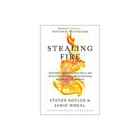 Harpercollins publishers inc Stealing Fire (häftad, eng)