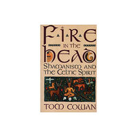 Harpercollins publishers inc Fire in the Head (häftad, eng)