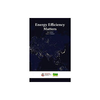The Energy and Resources Institute, TERI Energy Efficiency Matters (häftad, eng)