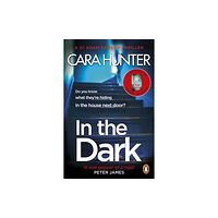 Penguin books ltd In The Dark (häftad, eng)
