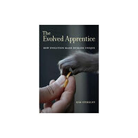 Mit press ltd The Evolved Apprentice (häftad, eng)