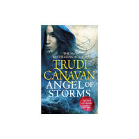 Little, Brown Book Group Angel of Storms (häftad, eng)