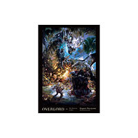 Little, Brown & Company Overlord, Vol. 11 (light novel) (inbunden, eng)