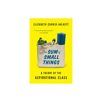 Princeton University Press The Sum of Small Things (häftad, eng)