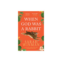 Headline Publishing Group When God was a Rabbit (häftad, eng)