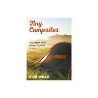 AA Publishing Tiny Campsites (häftad, eng)