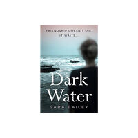 Blackbird Digital Books Dark Water (häftad, eng)