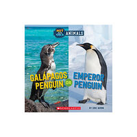 Scholastic Inc. Galapagos Penguin or Emperor Penguin (Wild World: Hot and Cold Animals) (inbunden, eng)