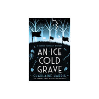 Orion Publishing Co An Ice Cold Grave (häftad, eng)