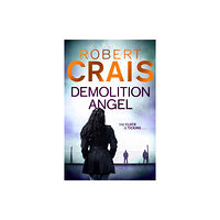 Orion Publishing Co Demolition Angel (häftad, eng)