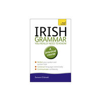 John Murray Press Irish Grammar You Really Need to Know: Teach Yourself (häftad, eng)