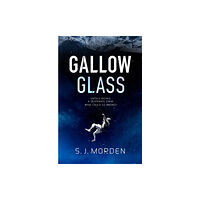 Orion Publishing Co Gallowglass (häftad, eng)