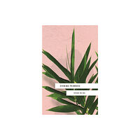 Hodder & Stoughton Evening Primrose: a heart-wrenching novel for our times (häftad, eng)