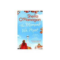 Headline Publishing Group The Moment We Meet (häftad, eng)