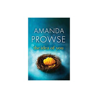 Amazon Publishing The Idea of You (häftad, eng)