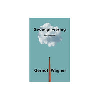 John Wiley And Sons Ltd Geoengineering (häftad, eng)