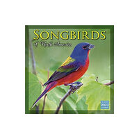 GLOBAL PUBLISHER SERVICES SONGBIRDS OF NORTH AMERICA (häftad, eng)