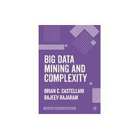 Sage Publications Ltd Big Data Mining and Complexity (häftad, eng)