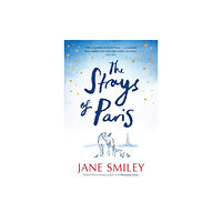 Pan Macmillan The Strays of Paris (häftad, eng)