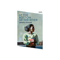 Pan Macmillan At the Bottom of the River (häftad, eng)