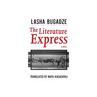 Dalkey Archive Press Literature Express (häftad, eng)