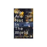 Transworld publishers ltd We Are Not in the World (häftad, eng)