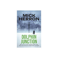 John Murray Press Dolphin Junction (häftad, eng)