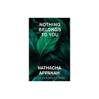 Quercus Publishing Nothing Belongs to You (häftad, eng)