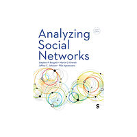 Sage Publications Ltd Analyzing Social Networks (häftad, eng)