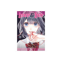 Kodansha America, Inc Love and Lies 11 (häftad, eng)