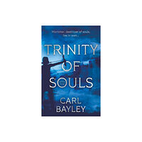 Troubador Publishing Trinity of Souls (häftad, eng)