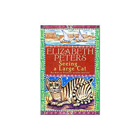 Little, Brown Book Group Seeing a Large Cat (häftad, eng)