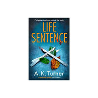 Zaffre Life Sentence (häftad, eng)