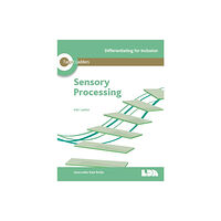 LDA Target Ladders: Sensory Processing (häftad, eng)