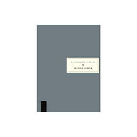 Persephone Books Ltd National Provincial (häftad, eng)