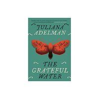 New Island Books The Grateful Water (häftad, eng)