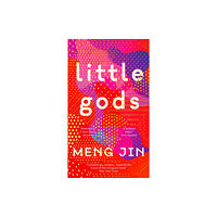 Pushkin Press Little Gods (häftad, eng)