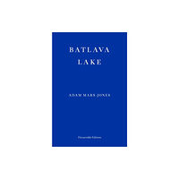 Fitzcarraldo Editions Batlava Lake (häftad, eng)