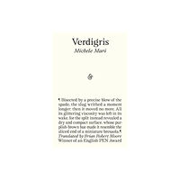 And Other Stories Verdigris (inbunden, eng)