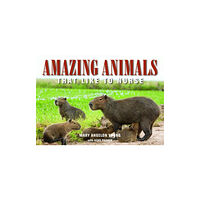 Hohm Press,U.S. Amazing Animals (häftad, eng)