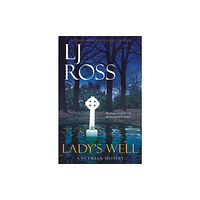 Dark Skies Publishing Lady's Well (häftad, eng)