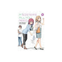 Little, Brown & Company A Sister's All You Need., Vol. 13 (light novel) (häftad, eng)
