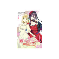 Little, Brown & Company The Holy Grail of Eris, Vol. 1 (manga) (häftad, eng)