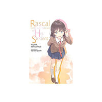 Little, Brown & Company Rascal Does Not Dream, Vol. 12 (light novel) (häftad, eng)