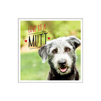 Octopus publishing group Love is a Mutt (inbunden, eng)