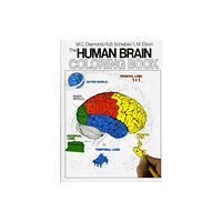Harpercollins publishers inc The Human Brain Coloring Book (häftad, eng)
