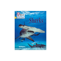 HarperCollins Publishers Sharks (häftad, eng)